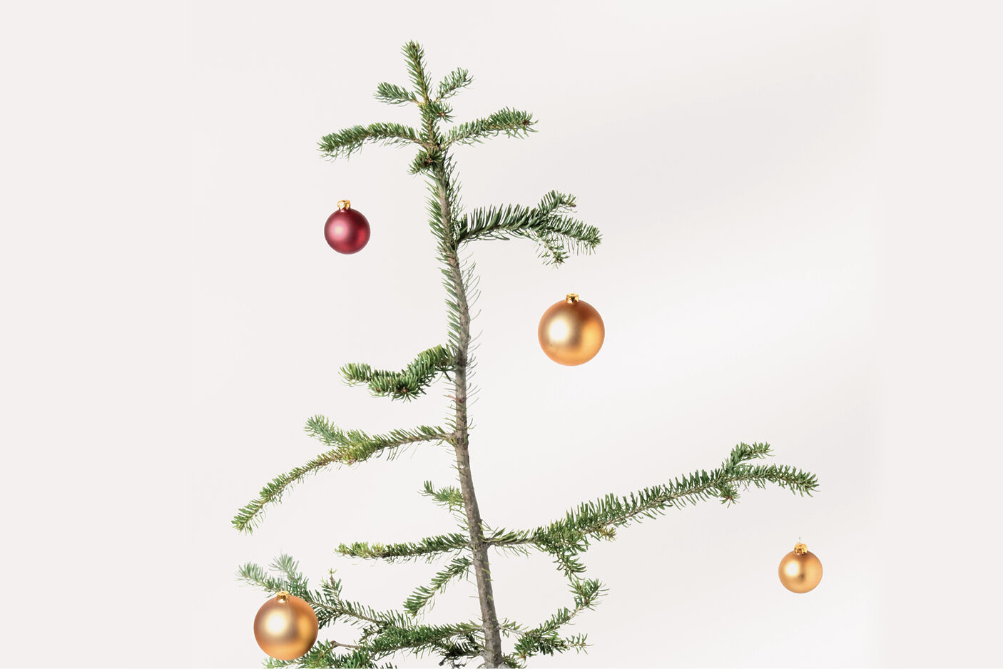 HolidayHappenings_5.jpg